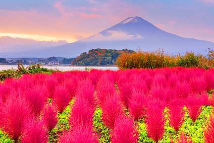 Tour di un giorno del lago Fuji Kawaguchi, viste stagionali del Fuji e delle sorgenti termali del lago Yamanaka (con partenza da Tokyo)