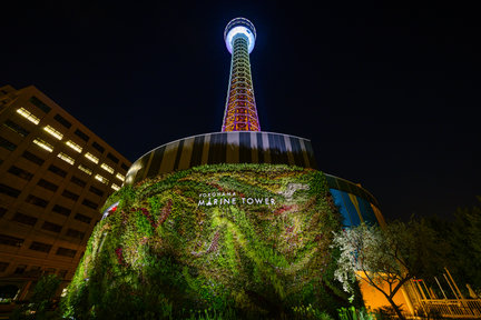 横浜マリンタワー 展望フロア入場チケット