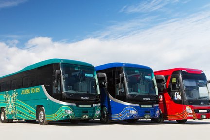 Visite en bus hip-hop d'Okinawa : aquarium Churaumi d'Okinawa et plus encore