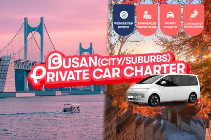 Busan and Suburbs Private Car Charter Tours with Expert Driver-Guide