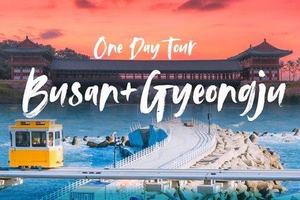 Excursion d'une journée à Busan + Gyeongju au départ de Busan