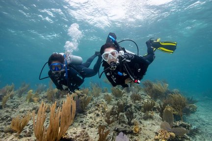 Koh Chang First-Time Dive with PADI 5 Star center