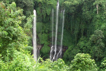 Bali Hidden Waterfalls Trip