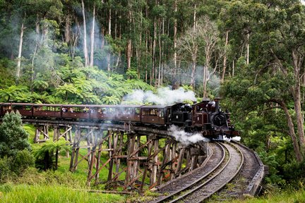 Lawatan Sehari Puffing Billy dan Healesville Sanctuary dari Melbourne