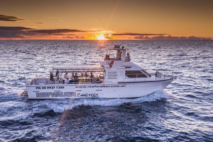 Sunset Cruise along Coastal Cliffs in Kalbarri