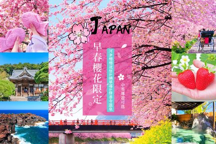 2025 Early Spring Cherry Blossom Limited-Kawazu Sakura Festival/Sakura Village & Strawberry Picking & Shuzenji Hot Spring Day Tour