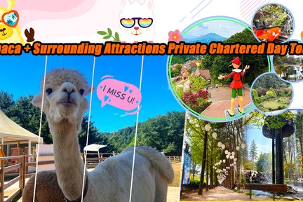 Alpaca World + Nami Island 10-Hour Private Day Tour