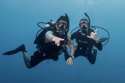 Try Discovery Scuba Diving for Beginners in Bali with PADI