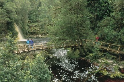 Vollständig geführte Tagestour zum Cradle Mountain ab Launceston