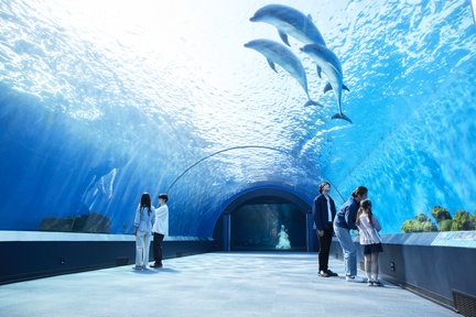 橫濱八景島海島樂園門票