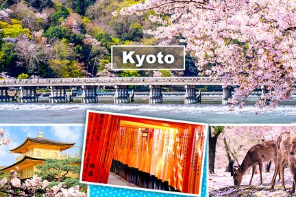 Tagestour nach Kyoto und Nara ab Osaka/Kyoto