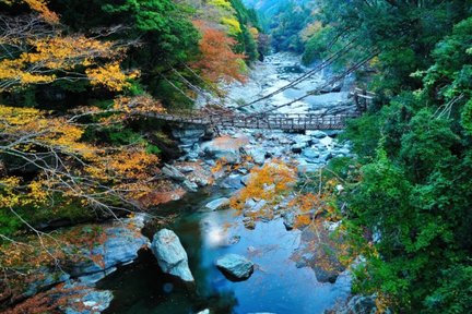 Tour thuê riêng 1 ngày từ Tokushima: Bảo tàng nghệ thuật quốc tế Otsuka/Vòng xoáy Naruto/Cầu Iya Kuzufuji (bạn có thể tự do kết hợp hành trình)