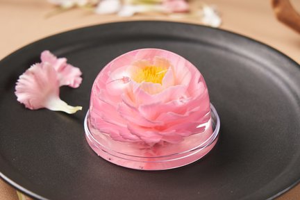 Mini Jelly Flower DIY Class｜2.5 hours｜Kwun Tong