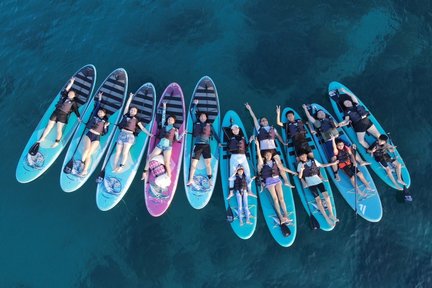 Pengalaman SUP di Lambai Island oleh Whaletaildo