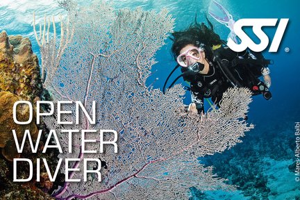 SSI Open Water Diver in Scuba School International Kota Kinabalu