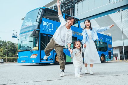 BigBus Ngong Ping Lantau Island Sightseeing Bus Tour