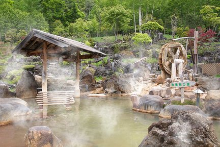 Paquete de viaje de un día a las aguas termales de Hokkaido Jozankei con boleto de autobús