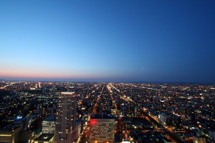 Billet pour la terrasse d'observation de la tour JR T38 à Hokkaido