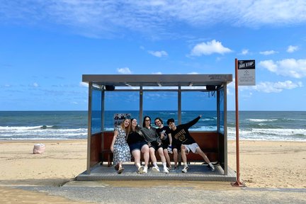 Gangneung MUST visit -BTS Bus Stop/ Goblin/Naksansa/Sheep Farm 