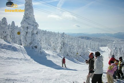 山形蔵王温泉スキー場 プライベートスキーレッスン