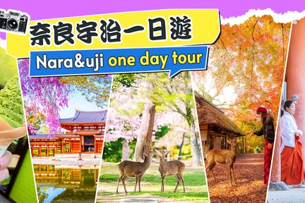 [One-day tour in Nara and Uji] Byodoin Temple, The Tale of Genji Museum, Uji Natural Hot Spring Genji-no-Yu, Nara Park, Todaiji Temple, Kasuga Taisha Shrine | Small group of 4-9 people (optional departure from Osaka or Kyoto)