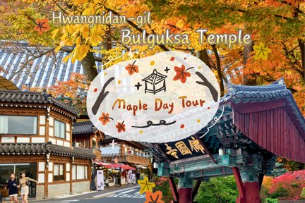 Lawatan Maple Musim Luruh Hwangnidan-gil x Bulguksa Temple di Gyeongju (Busan)