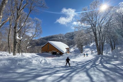 Nozawa Onsen Ski Resort, Nagano, Japan｜Private Chinese ski lesson 3/6 hours