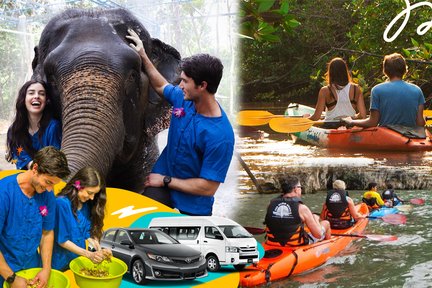 Krabi: Tour Chèo thuyền Kayak ở Rừng ngập mặn x Khu bảo tồn Voi với Xe đưa đón Riêng