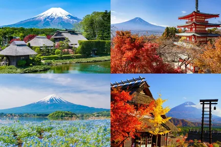 富士山一日游: 新仓山浅间公园 & 忍野八海 & 西湖温柔之乡根场 (东京出发)