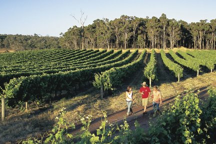 Visite de la grotte de Margaret River, du vin et de la jetée de Busselton