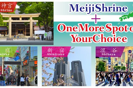 Tour Tham Quan Riêng Chùa Asakusa & Đền Meiji Tokyo Trong 4 Giờ