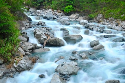 Boleto para el área recreativa del bosque nacional Basianshan