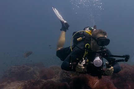 帕岸岛 PADI 五星潜水中心进阶开放水域潜水员课程