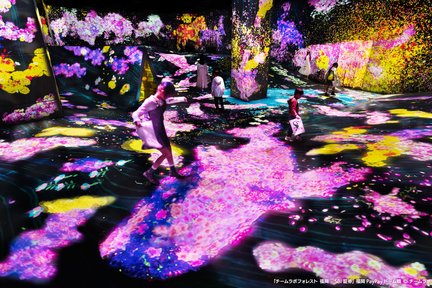 Vé Triển Lãm EZO FUKUOKA teamLab Forest 