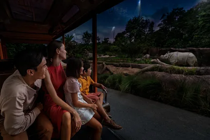 Night Safari Ticket | Mandai Wildlife Reserve, Singapore