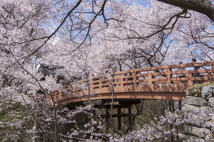 2D1N Takato Castle Ruins Park & Shirakawa-go Tour from Nagoya