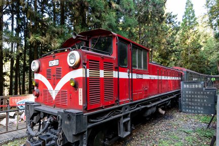 Tagestour zur Alishan-Waldbahn ab Taichung