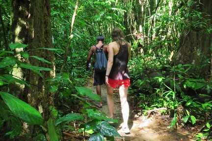 Khao Sok Jungle Safari dari Krabi (2 Hari)