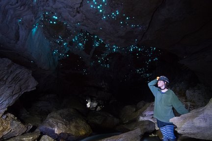 Tour privato della Grotta dei Glowworm con guida di Waitomo