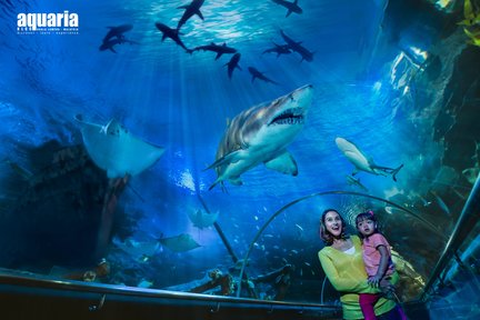 KLCC水族館 入館チケット（クアラルンプール）