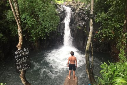 Excursión de un día a las cascadas del norte de Bali y al campo de arroz