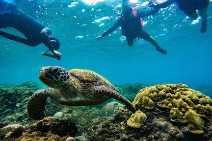 Pingtung Kenting｜A 5 minutos del mar｜Tour ecológico de snorkel gratuito en SUP｜Fotos después de la corrección de color