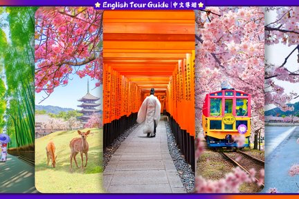 [Perjalanan satu hari ke Kyoto & Nara] Kereta Arashiyama & Taman Nara & Kuil Fushimi Inari Taisha Senbon Torii & Jembatan Togetsuki & Jalur Hutan Bambu & Hutan Kimono (Berangkat dari Osaka)