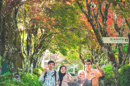 [Muslim-Friendly] Taipingshan & Jiuzhize Hot Spring Private Tour