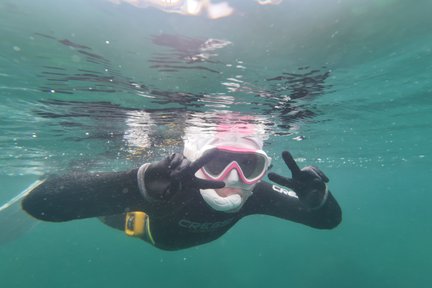 Jeju Free Diving Experience