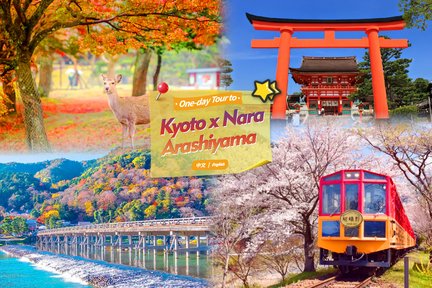 [Kyoto & Arashiyama & Nara] Nara Park & Fushimi Inari Shrine & Fushimi Chiikawa Honpo & Arashiyama & Bamboo Forest Path Day Tour (Depart from Osaka)