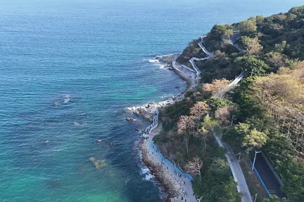 深圳纯玩1日游(大梅沙海滨公园+深港环海游轮览胜+地王大厦@老友出行）