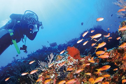 Experiencia de buceo y esnórquel en la cueva azul de Onna Village en Okinawa