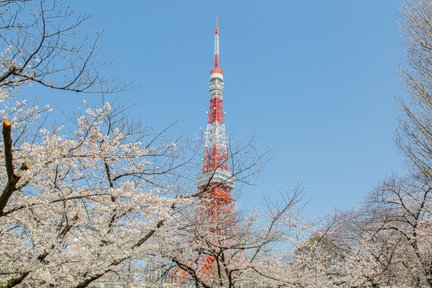 Billet pour l'observatoire de la tour de Tokyo