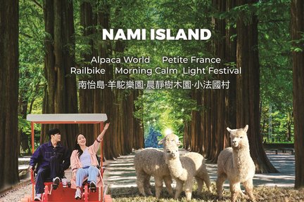 Nami Island & Eobi Ice Valley & Morning Calm & Alpaca& Seorak Frozen